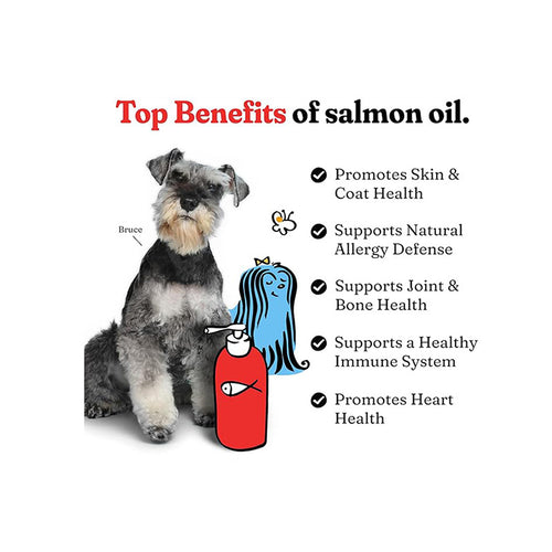 Premium Salmon Oil Formula