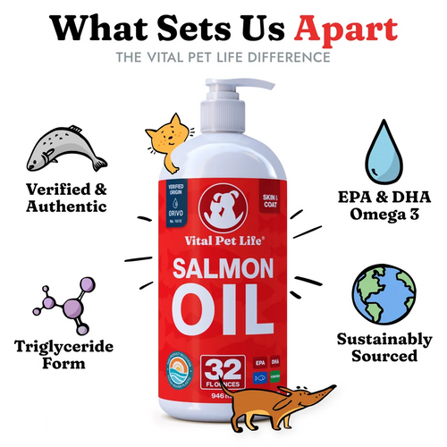 Premium Salmon Oil Formula
