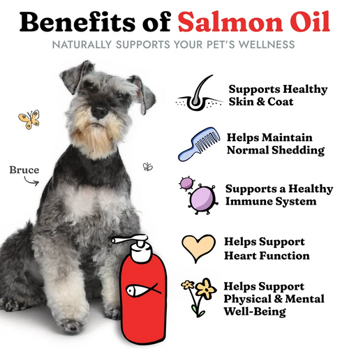 Premium Salmon Oil Formula