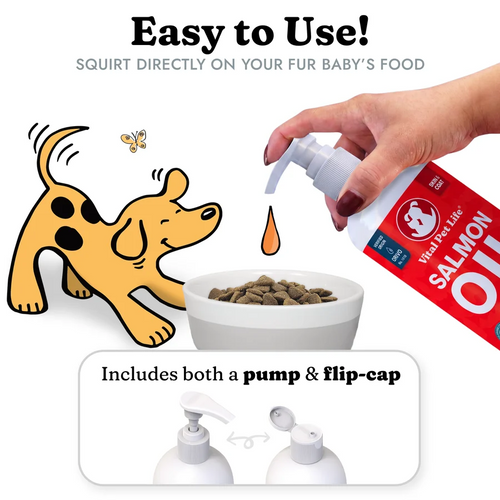 Premium Salmon Oil Formula